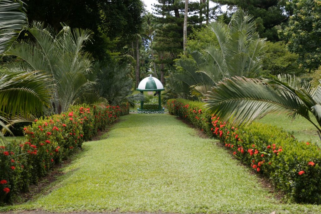 Landscape of the St. Vincent botanical gardens
